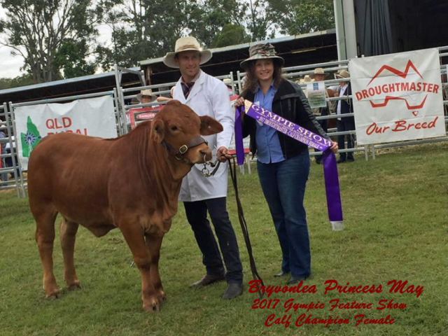 Bryvonlea Princess May